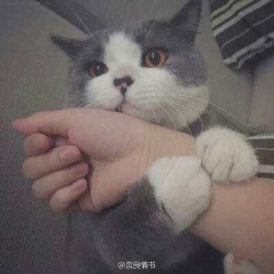 硬核创新铸就标杆 和利时揽获202...